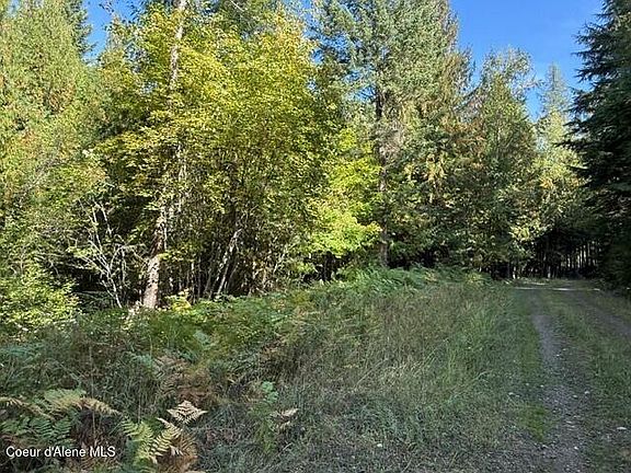5th image of Gold Cup Mountain Rd