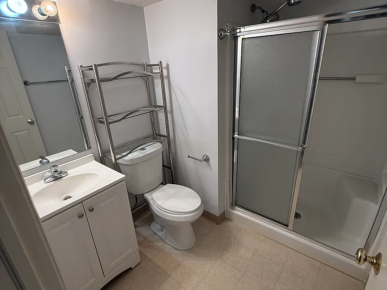 Second bath (lower-level)