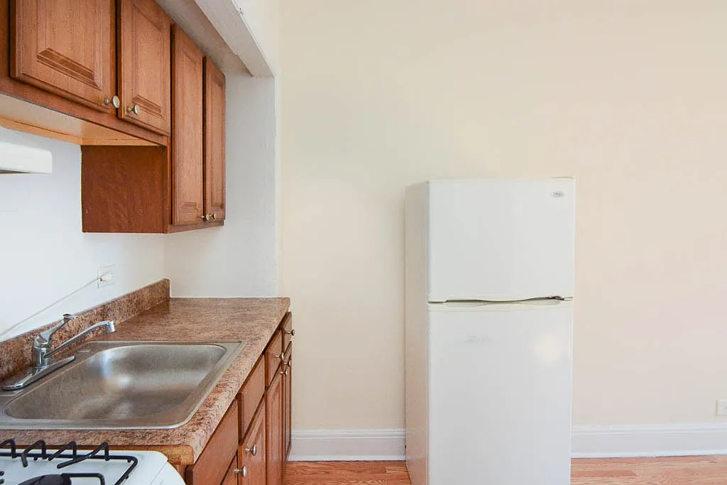 Picturesque Studio, 1 Bath at Diversey + Milwaukee (Logan Square) — Photo 4