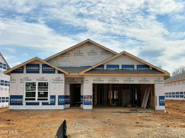 206 Artist Ave, Johnson City, TN 37615