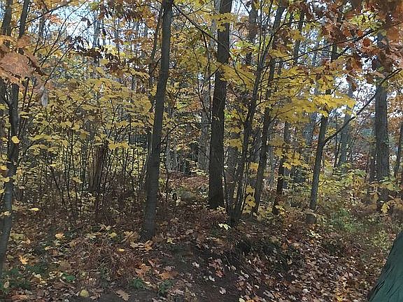 3rd image of 49535 State Highway M26