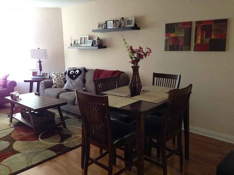 535 N Michigan Ave #506 — Photo 4