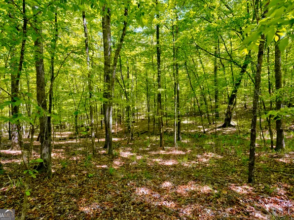 /george Smith, Talbotton, GA 31827