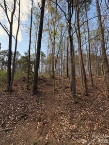 447 Hopewell Church Rd #58, Catawba, NC, 28609