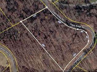 Eagle Ridge Rd #13, Roan Mountain, TN 37687