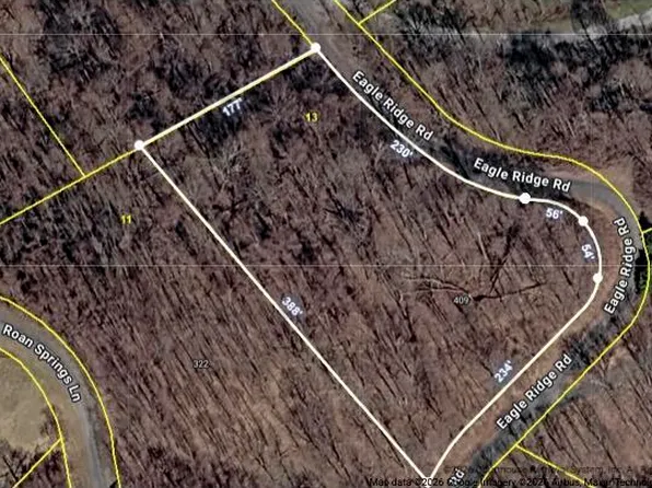 Eagle Ridge Rd #13, Roan Mountain, TN 37687