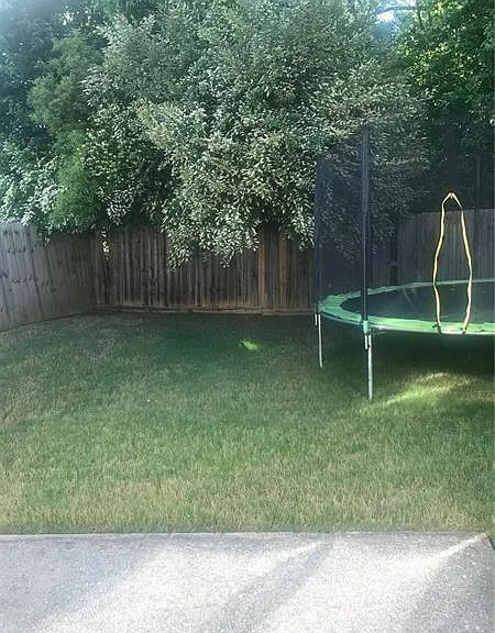 4171 Ash Tree St — Photo 2