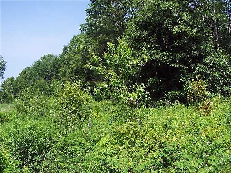 2nd image of 0 Upper Oak Hill Road