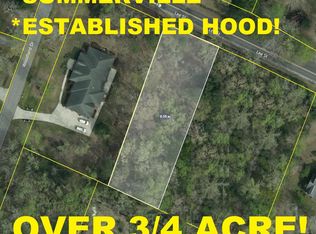 123 Lee St, Summerville, SC 29485