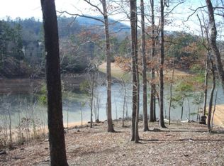 114-3 Clearwater Cv, Bryson City, NC 28713