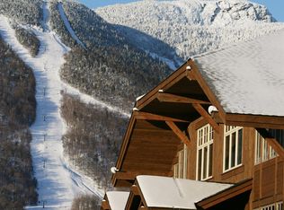 20 Inspiration Ln #19, Stowe, VT 05672