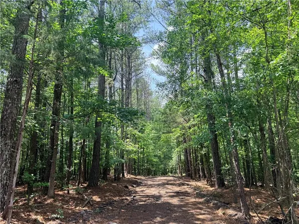 1573 Norris Lake Way, Snellville, GA 30039