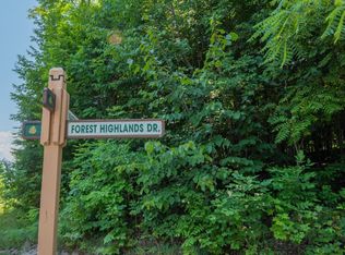 LOT 165 Forest Trl, Bellaire, MI 49615