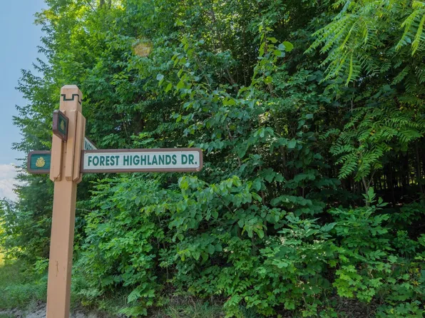 LOT 165 Forest Trl, Bellaire, MI 49615