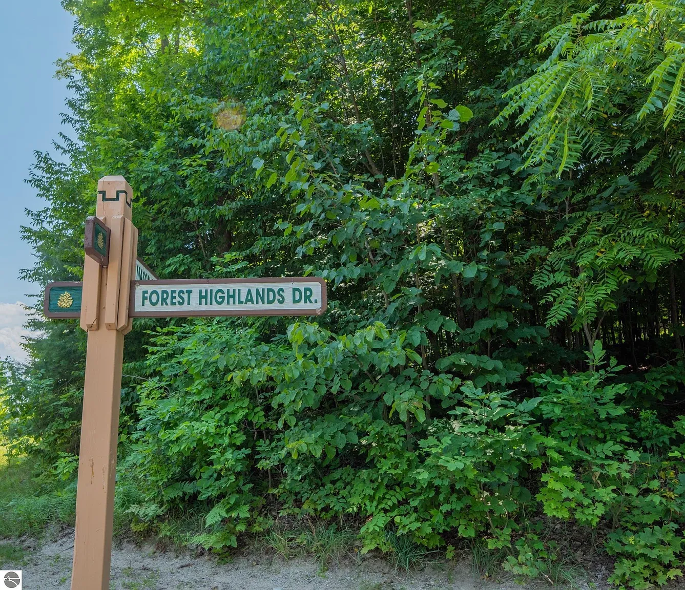 LOT 165 Forest Trl photo 1