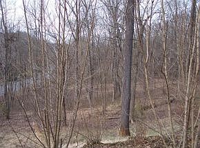 5th image of 0 Saint Charles Pl