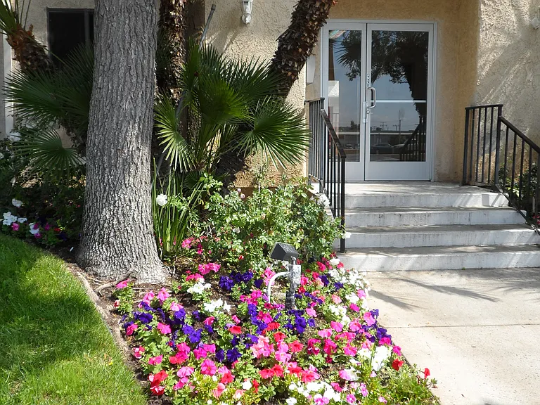 Septo Apartments — Photo 14