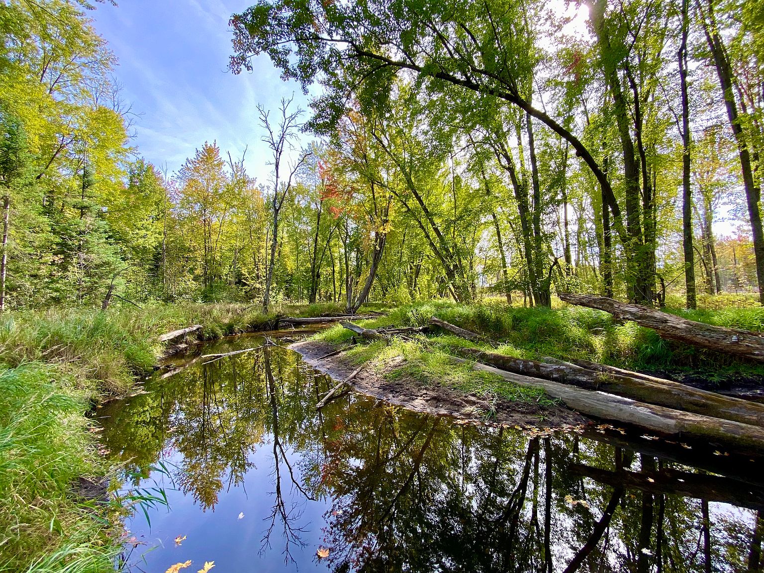 Collins Rd LOT WP001, Posen, MI 49776 Zillow