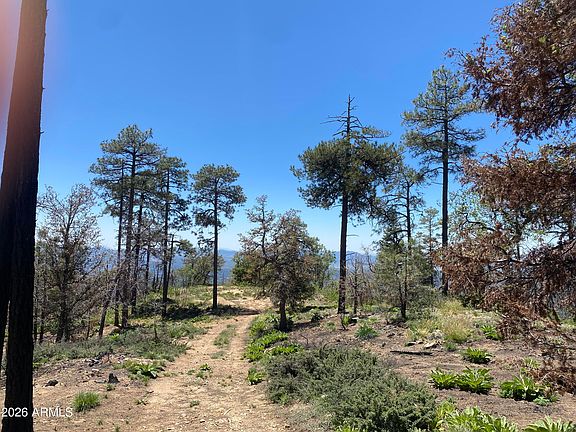 3rd image of 1002 S turkey trot Trail #-