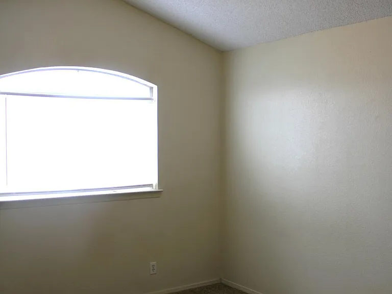 11008 Rogers Hornsby St — Photo 11