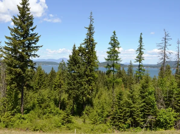 5343 S Jackleg Trl, Harrison, ID 83833
