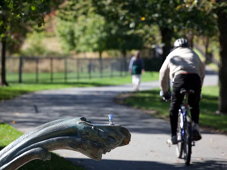 Minuteman biking and hiking trail is located steps outside our front door!