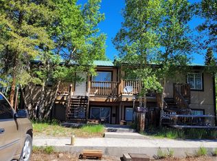 212 Chestnut St #1, Leadville, CO 80461