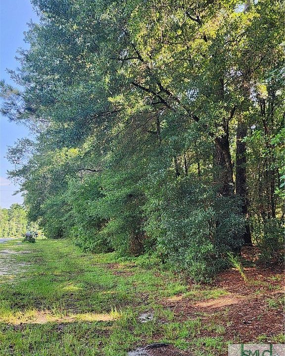 0 Early St, Springfield, GA 31329 Zillow