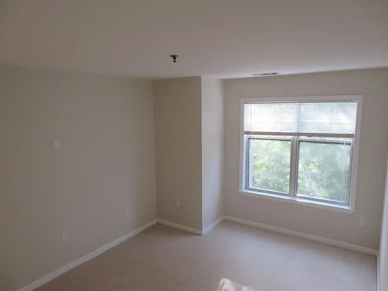5565 Seminary Rd #208 — Photo 45