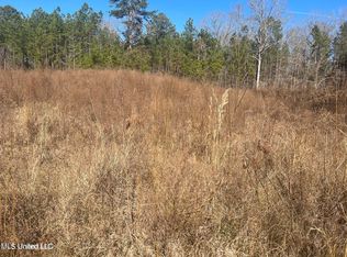 Pine Cove Ct, Terry, MS 39170