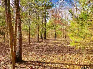 18AC County Road 3344 #3, Pickton, TX 75471