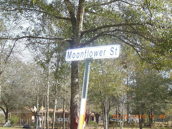 2nd image of 1575 Moonflower St