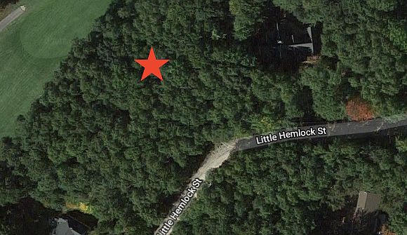 1st image of 6737 Little Hemlock St