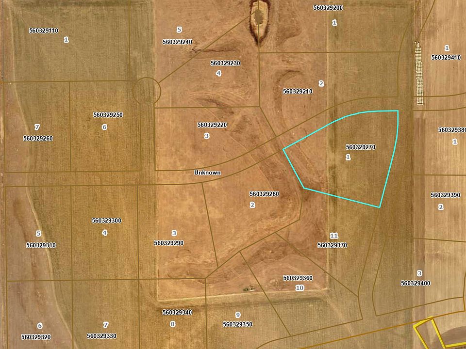 2nd image of L1b2 Spruce Holw W #2