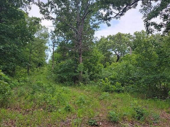 2nd image of 140 Gaines Creek Rd