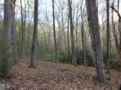 0 Shadow Mountain Dr #37, Dillard, GA, 30537