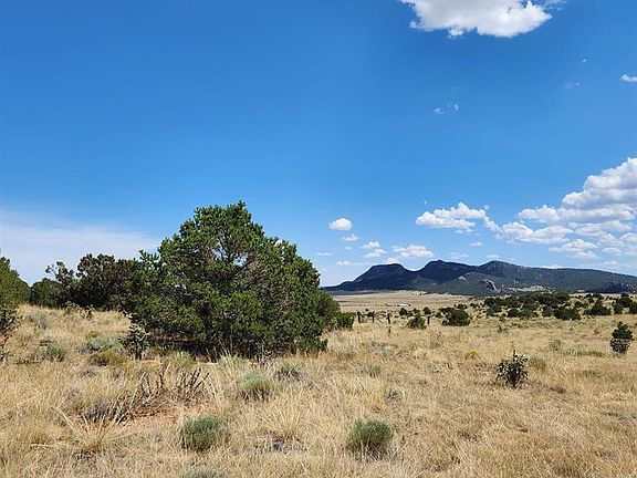 5th image of 530 County Road 570