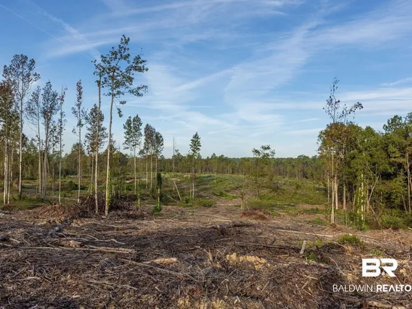 0 Whitehouse Fork Rd, Bay Minette, AL 36507