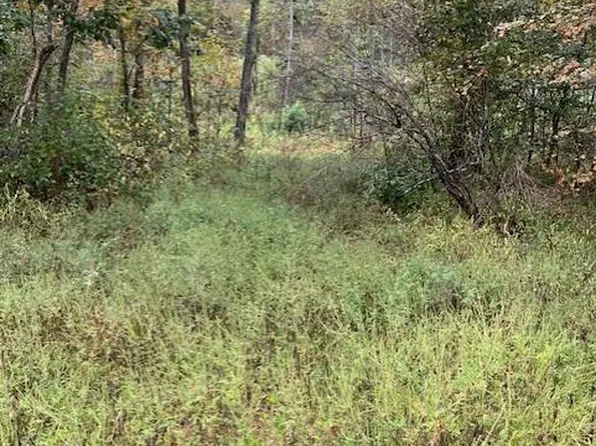 164 Madison St #410, Fredericktown, MO 63645