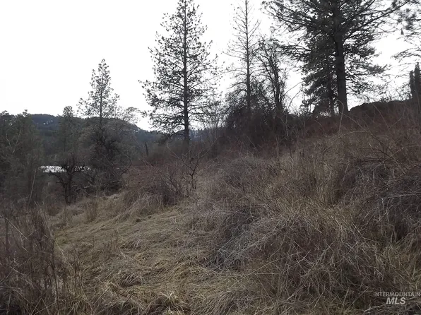 Highland Ct, Orofino, ID 83544