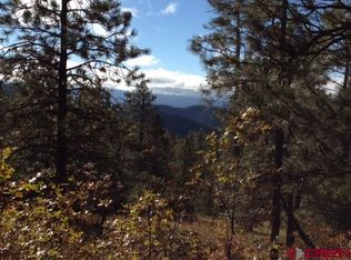 438 Hilltop Dr, Bayfield, CO 81122