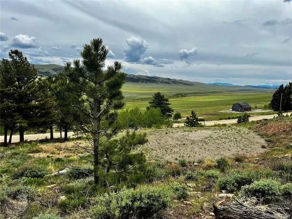 3129 Redhill Road LOT 491, Fairplay, CO 80440