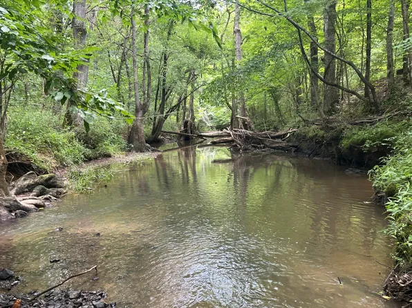 0 County Road 441, Wilsonville, AL 35186