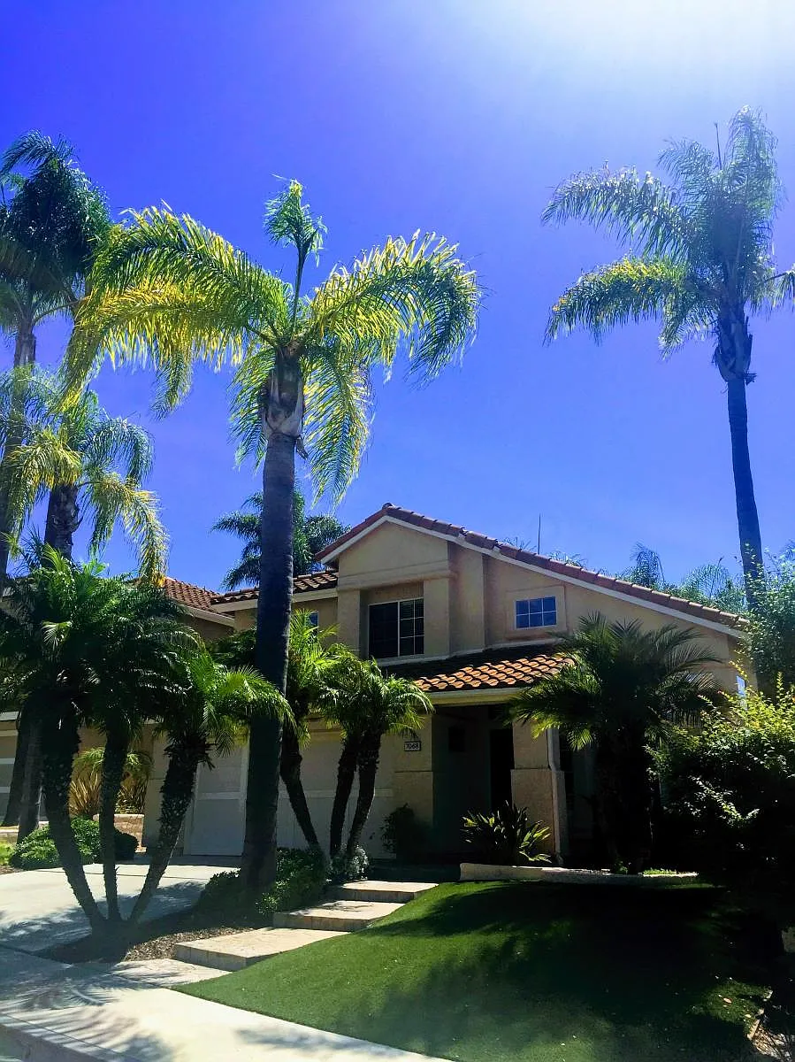 Front yard from street - 7068 Montanes Ln