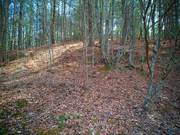 3rd image of LOT 62 Choctaw Ridge Trl