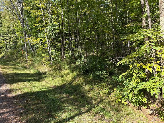 2nd image of 0 Pine Rd