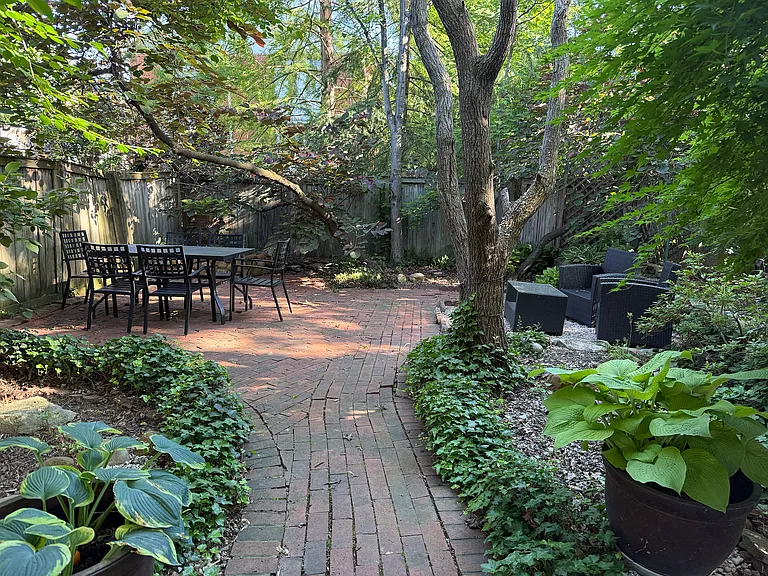 Beautiful backyard with lots of shade and green space!