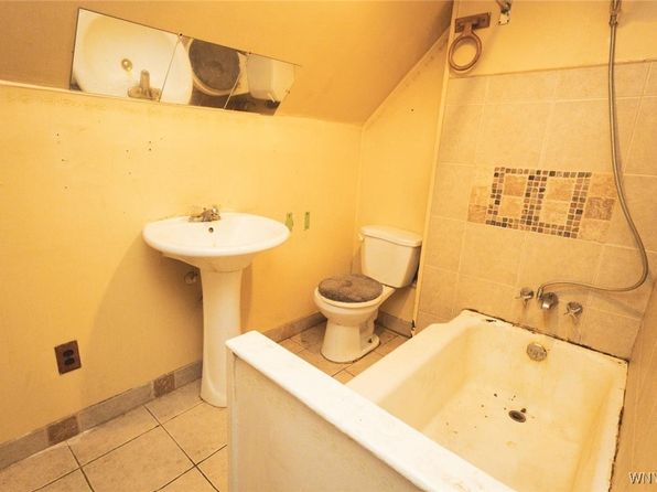 buffalo-new-york-30205662 picture