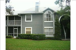 Close To USF