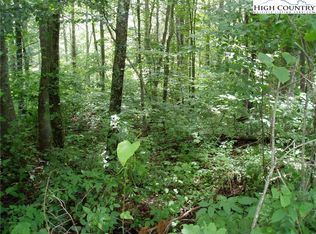 133 Hollow Tree Rd, Banner Elk, NC 28604